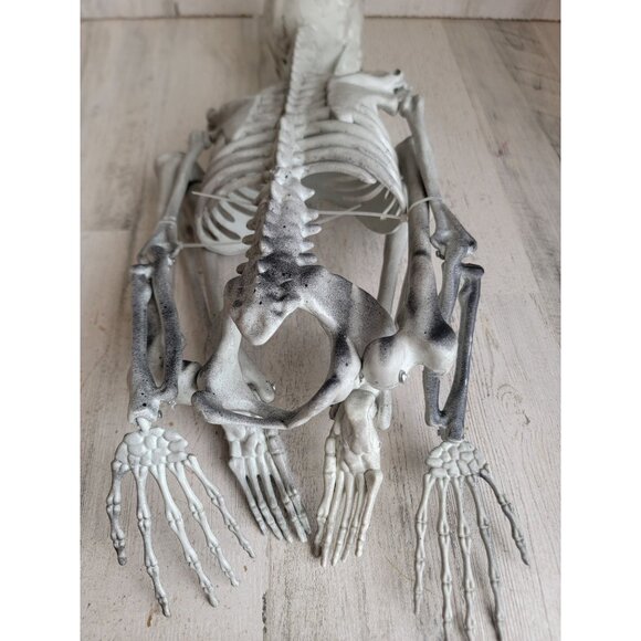 Skeleton prop bone hanging Halloween home decor skull scary - Picture 10 of 12